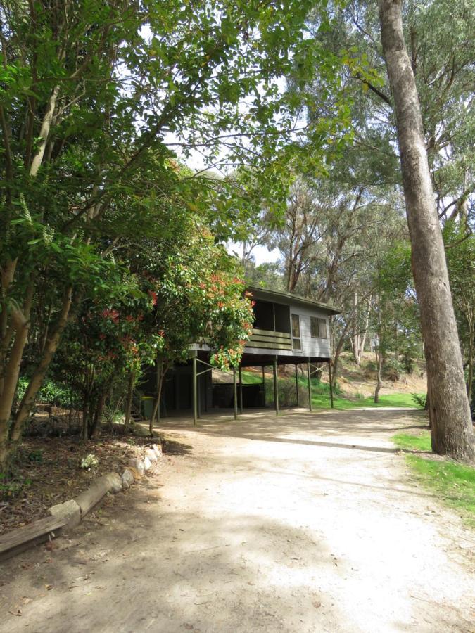 Beechworth Holiday Park Ngoại thất bức ảnh