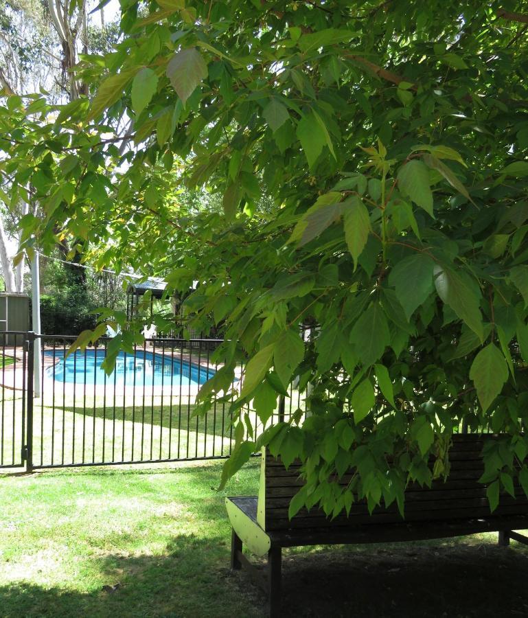 Beechworth Holiday Park Ngoại thất bức ảnh