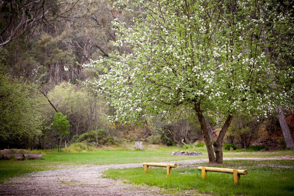 Beechworth Holiday Park Ngoại thất bức ảnh